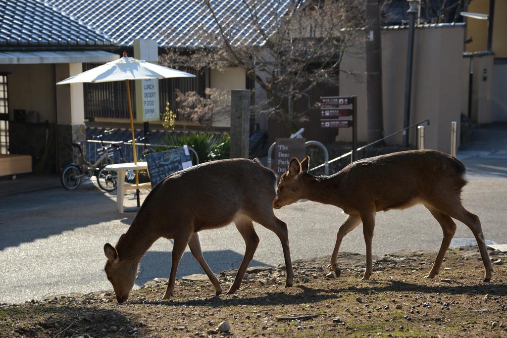 The Deer Park Inn Нара Екстериор снимка